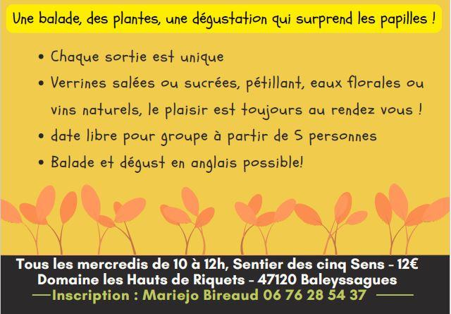 Le sentier des 5 sens au Domaine les Hauts de Riquets balade gourmande