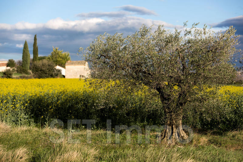 Maison - 170 m² - 4 pièces