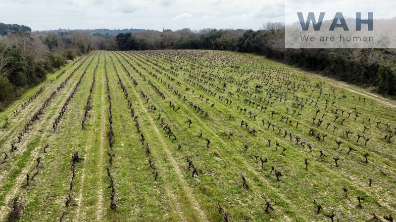 Terrain - 117 320 m²