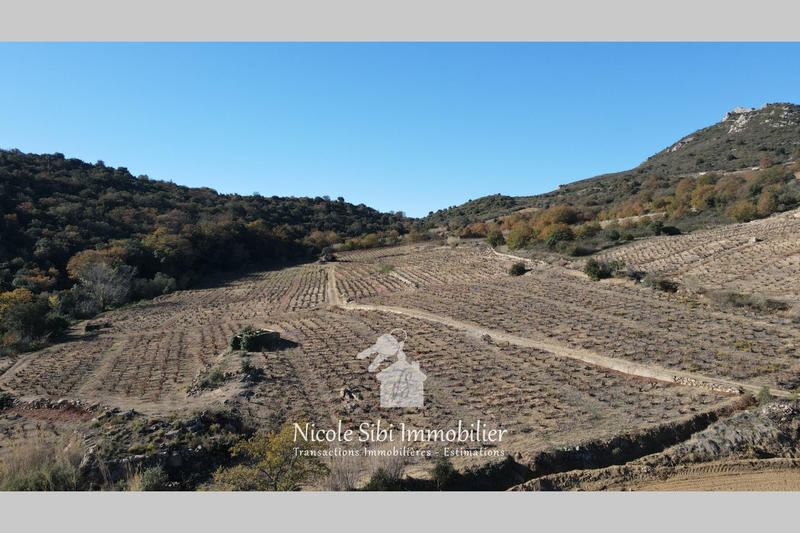 Terrain agricole - 8 700 m²