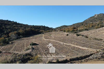 Terrain agricole - 8 700 m²