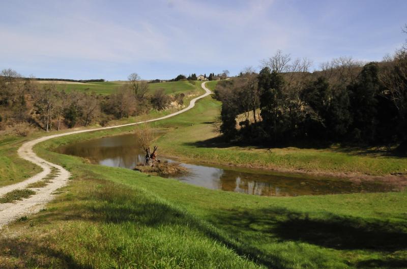 Maison de domaine - 575 m² - 30 pièces