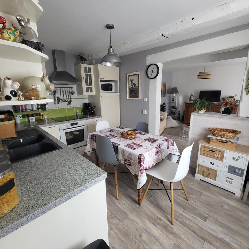 Viager - Maison ancienne - 51 m² - 3 pièces