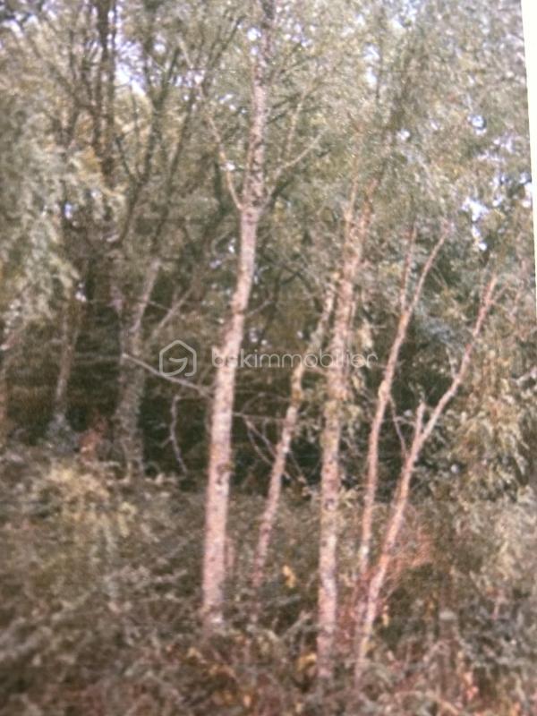 Terrain de loisirs - 16 160 m²