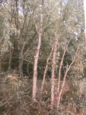 Terrain de loisirs - 16 160 m²