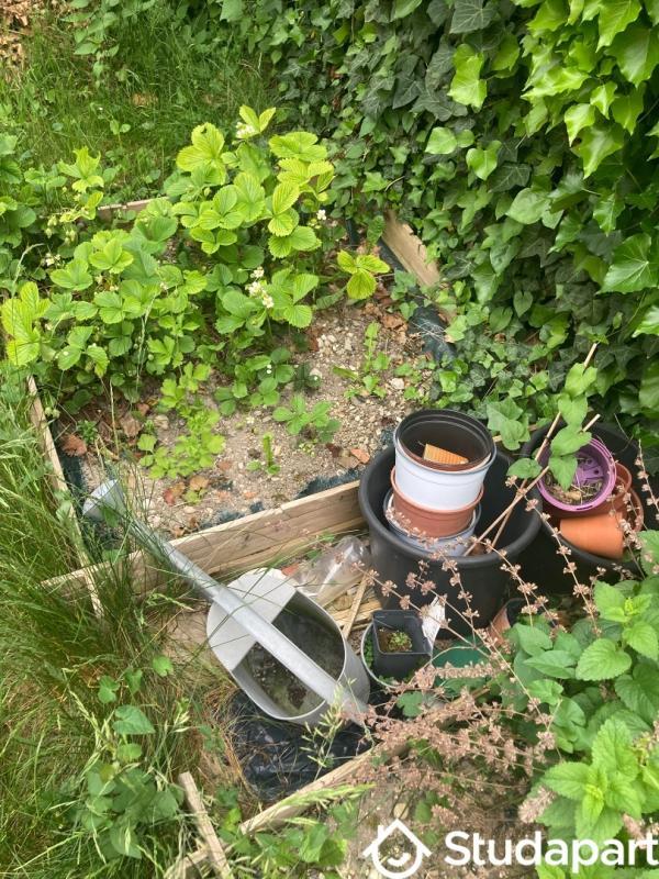 Chambre - 10 m² - 1 pièce