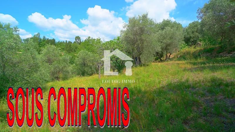 Terrain constructible - 4 500 m²