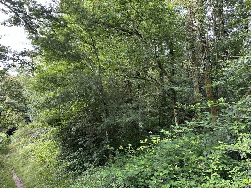 Terrain de loisirs - 7 170 m²