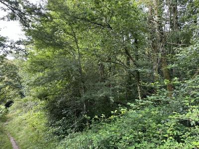 Terrain de loisirs - 7 170 m²