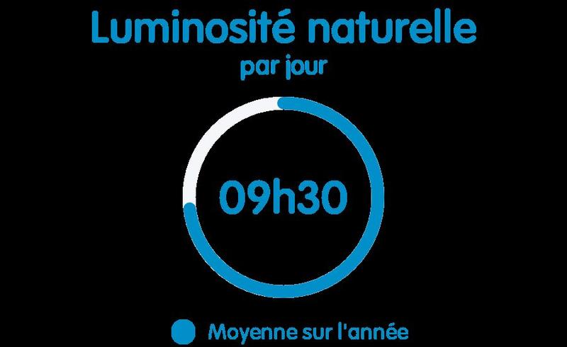 Appartement - 56 m² - 2 pièces