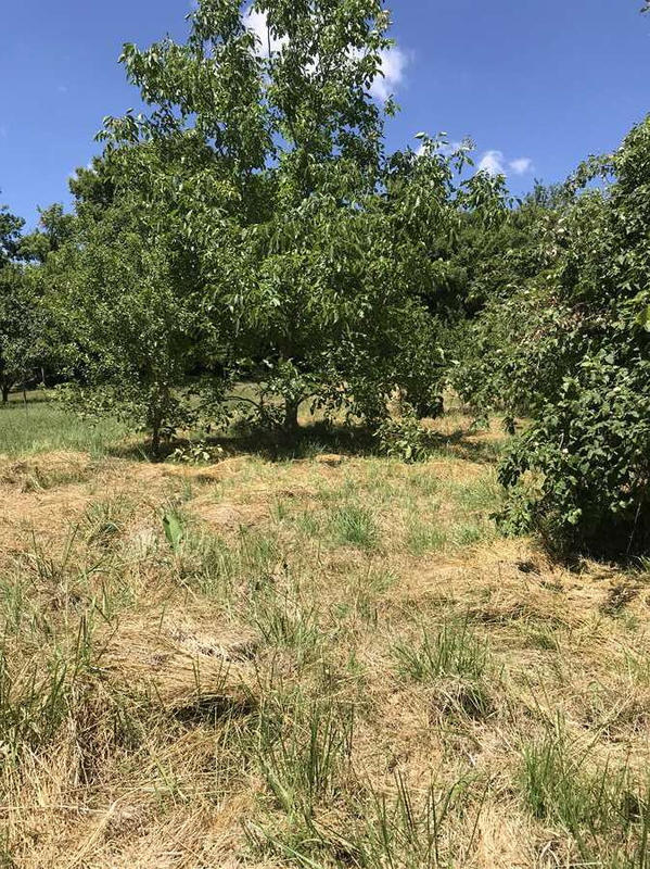 Maison - 75 m² - 5 pièces