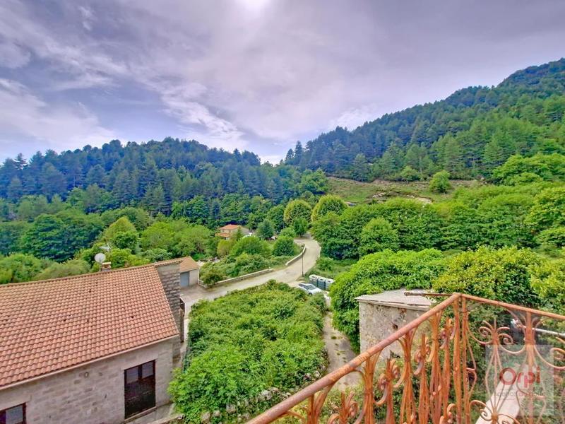 Maison - 363 m² - 1 pièce