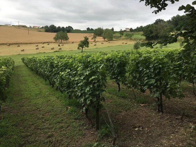 Maison - 142 m² - 6 pièces