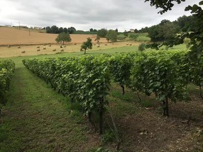 Maison - 142 m² - 6 pièces