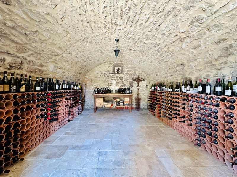 Maison - 390 m² - 14 pièces