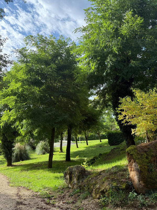 Propriété - 201 m² - 6 pièces