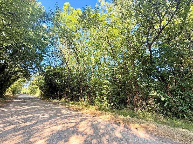 Terrain de loisirs - 7 830 m²