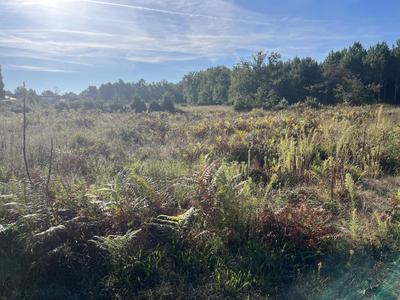 Terrain constructible - 2 003 m²