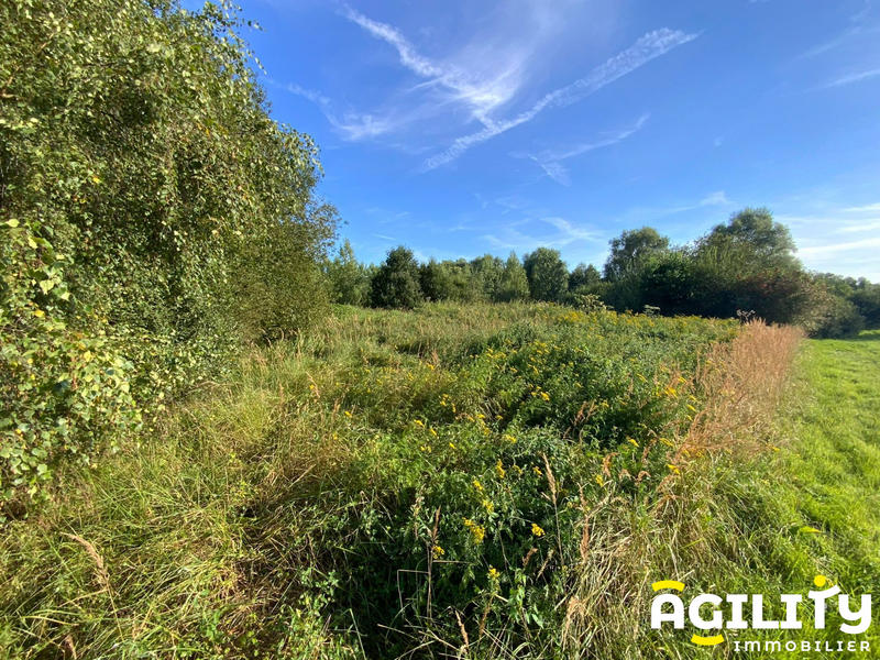 Terrain de loisirs - 9 784 m²