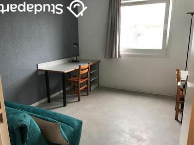 Appartement - 17 m² - 1 pièce