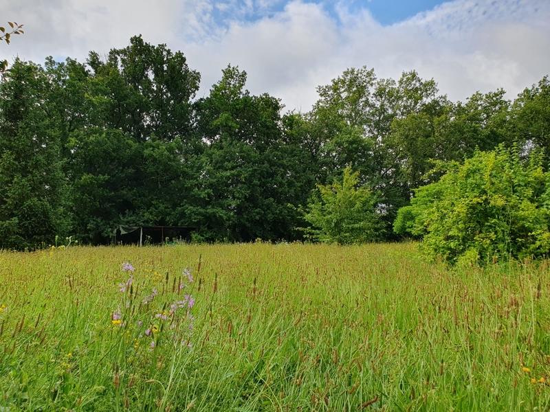 Terrain constructible - 1 157 m²