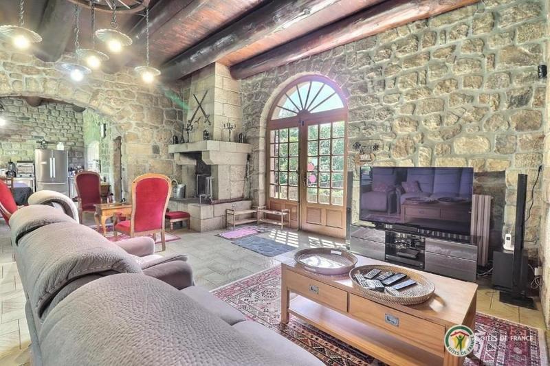 Château - 358 m² - 17 pièces