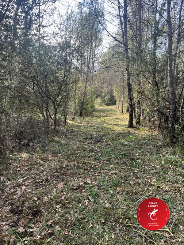 Terrain de loisirs - 3 402 m²