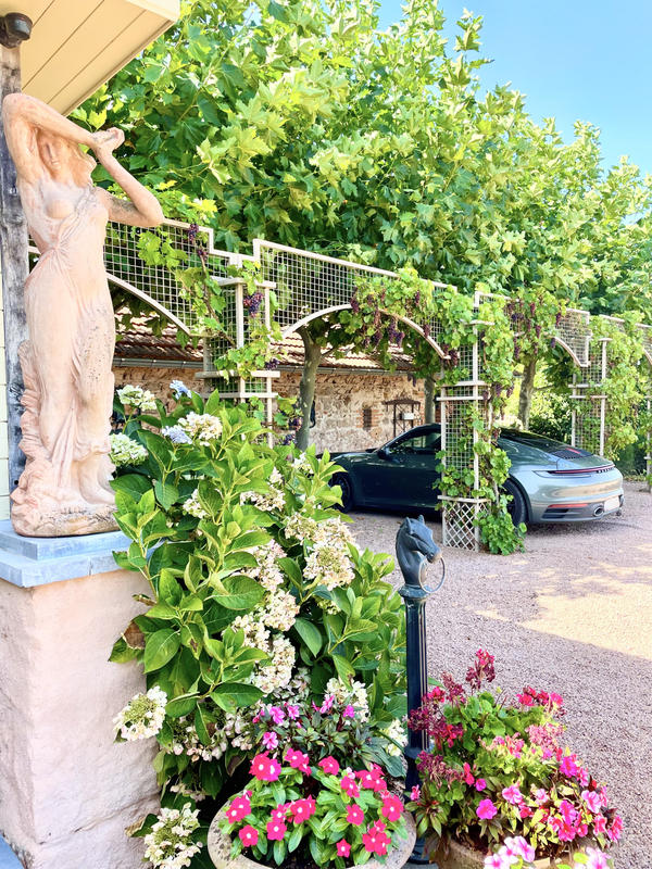 Propriété - 360 m² - 11 pièces