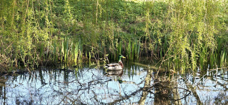 Maison - 190 m² - 5 pièces