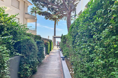 Appartement - 30 m² - 1 pièce