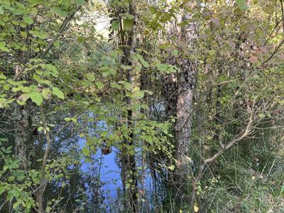 Terrain - 35 842 m²