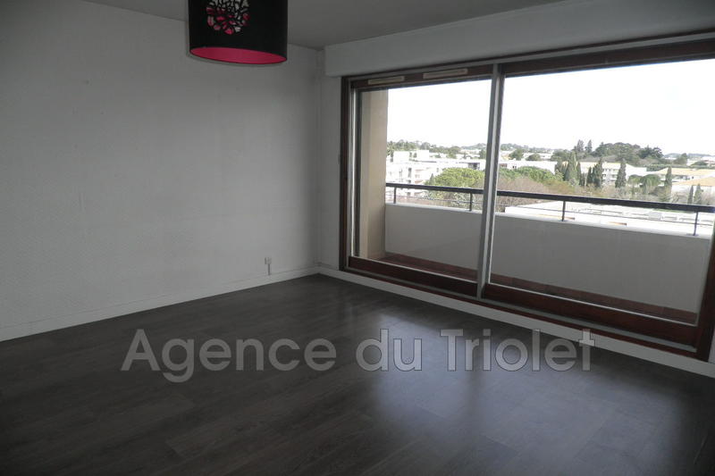 Appartement - 30 m² - 1 pièce