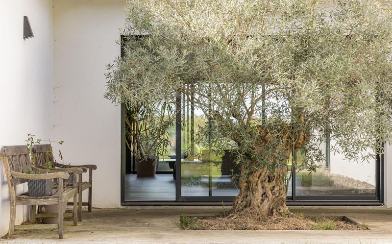 Maison - 345 m² - 10 pièces