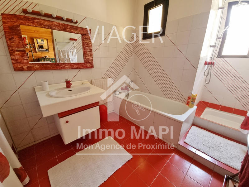 Viager - Maison - 478 m² - 14 pièces