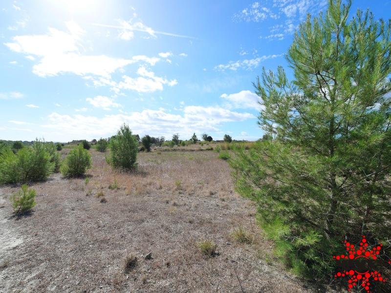 Terrain de loisirs - 23 990 m²