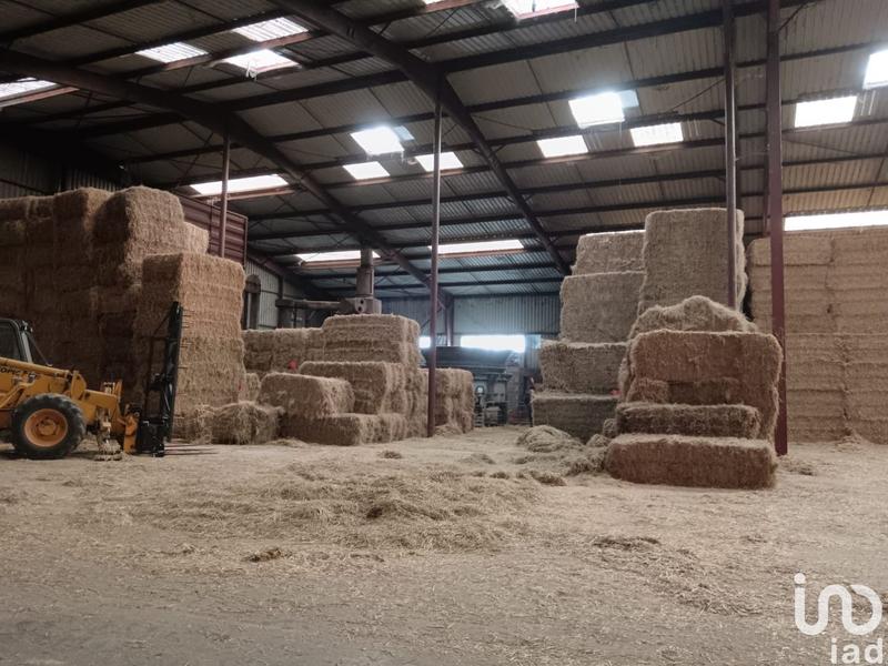 Local commercial - 2 900 m²