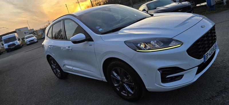 Ford Kuga 2,5 Fhev E85 St Line Business