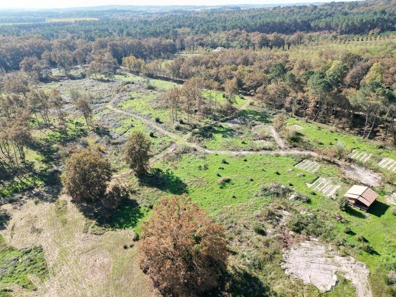 Terrain - 31 811 m²