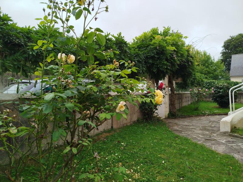 Maison ancienne - 120 m² - 5 pièces