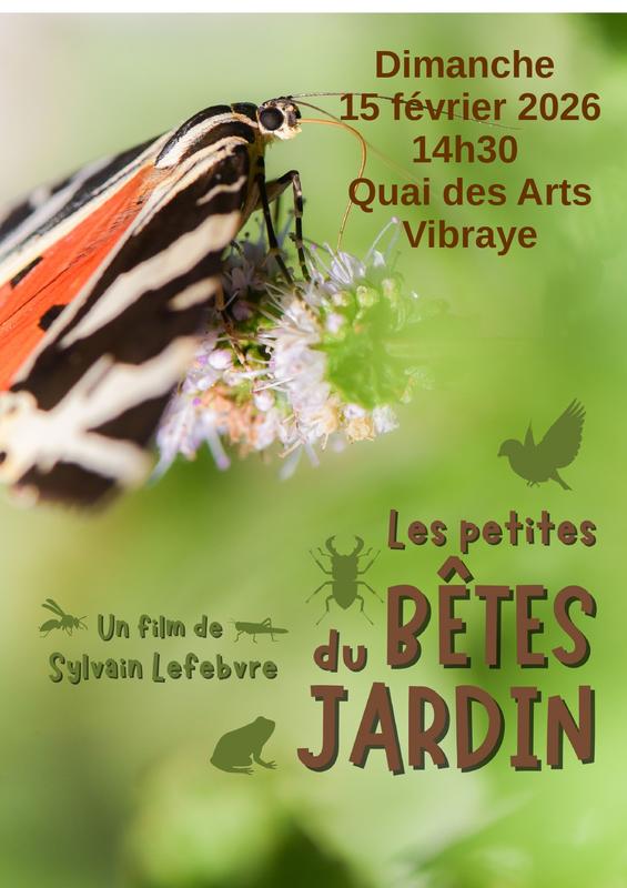 Film documentaire : les petites bêtes au jardin