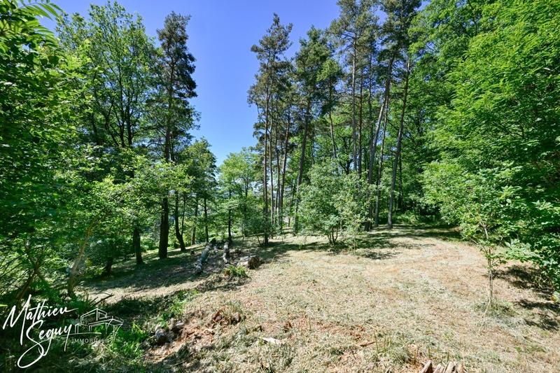 Terrain constructible - 2 815 m²