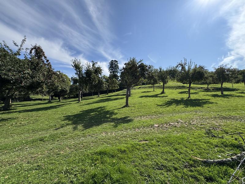 Maison ancienne - 68 m²