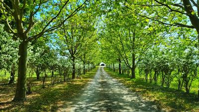 Maison - 500 m² - 8 pièces