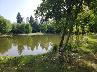 Demeure - 298 m² - 11 pièces