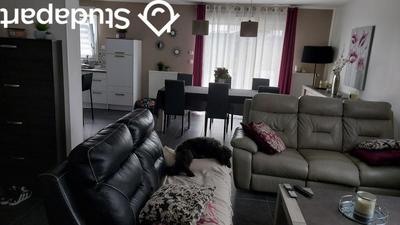 Chambre - 12 m² - 1 pièce