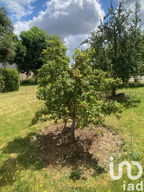 Maison - 133 m² - 5 pièces