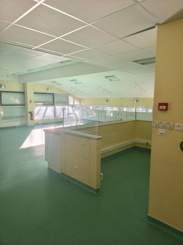 Local d'activités - 1 050 m²