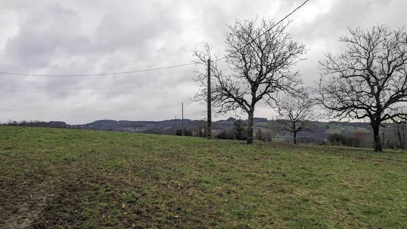 Terrain - 4 503 m²