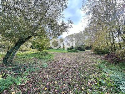 Terrain constructible - 3 000 m²