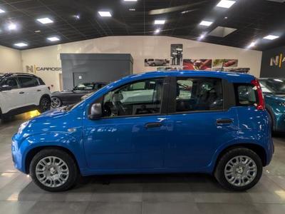 Fiat Panda 1.0 70 ch Hybrid Bsg s/S City